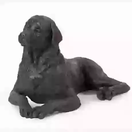 Rottweiler Urn